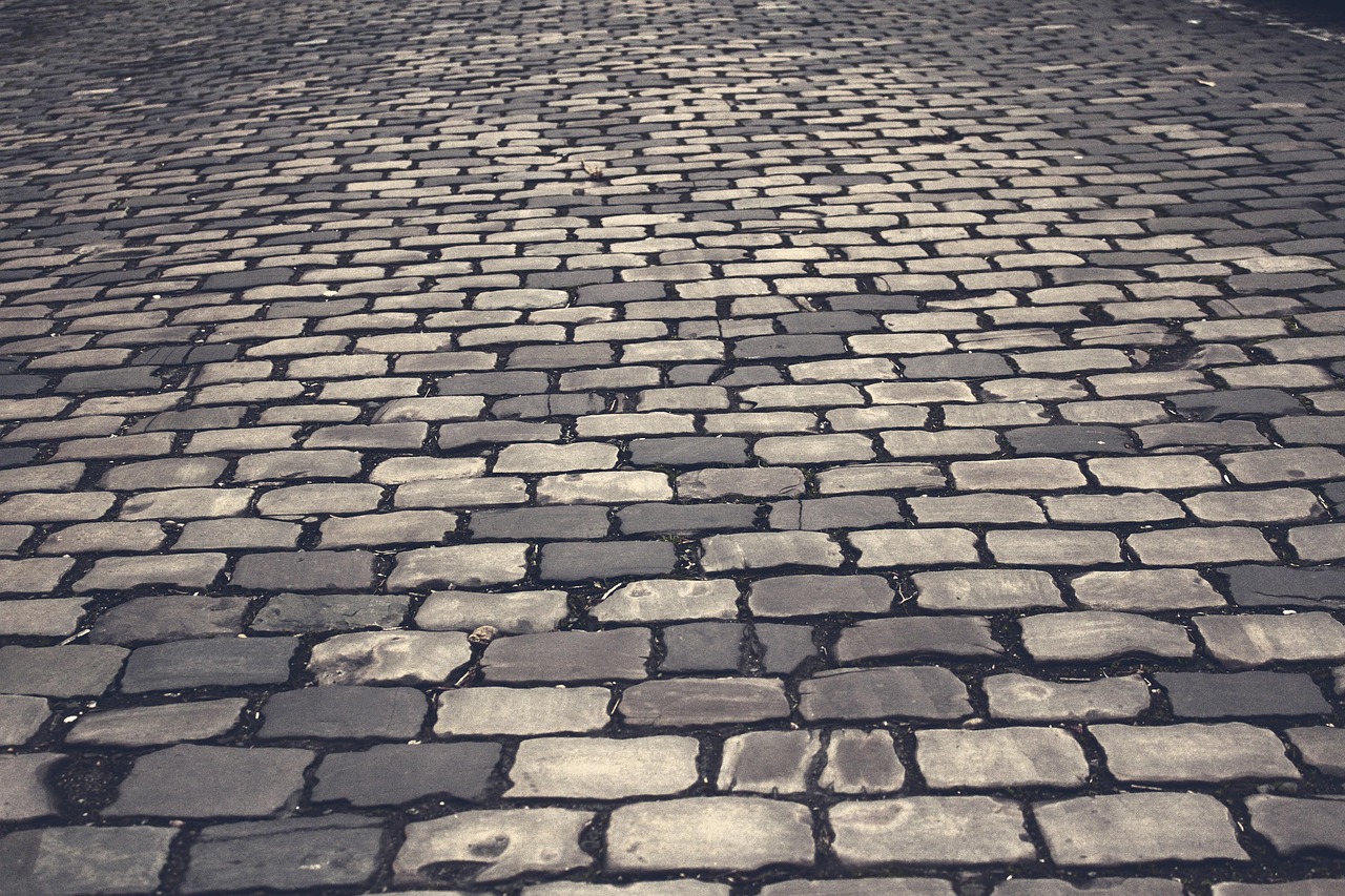 Home cobblestones, road, street, pavement, paving stones, cobblestone street, black and white, monochrome, road, road, street, street, street, street, street, pavement